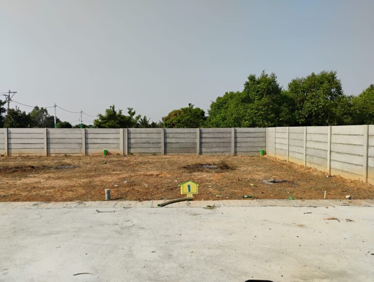 WhatsApp Image 2025-07-09 at 12.29.12 PM (1)