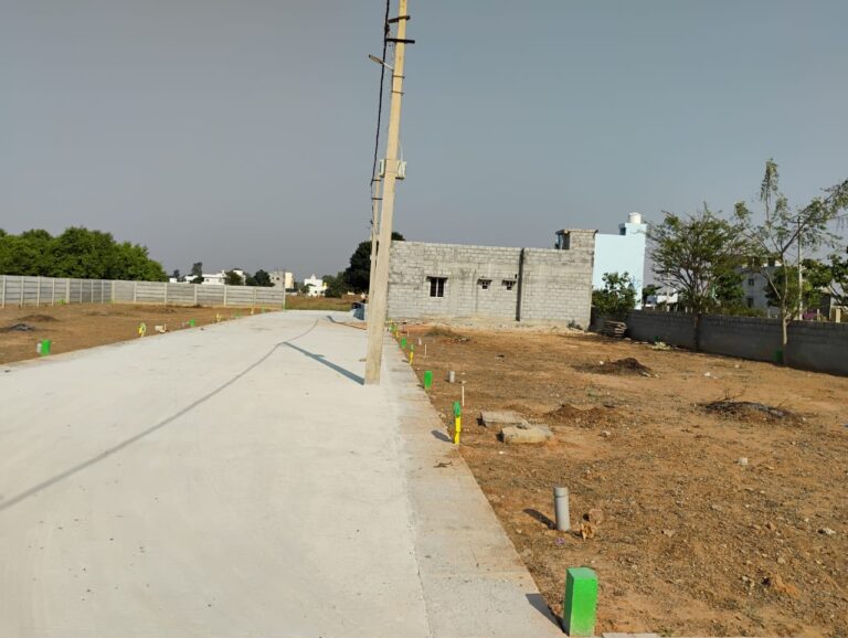 WhatsApp Image 2025-07-09 at 12.29.12 PM