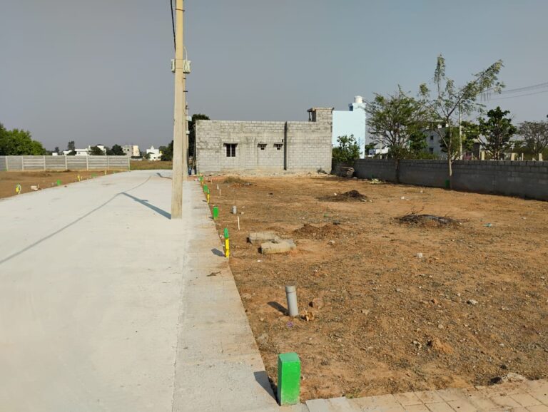 WhatsApp Image 2025-07-09 at 12.29.14 PM (2)