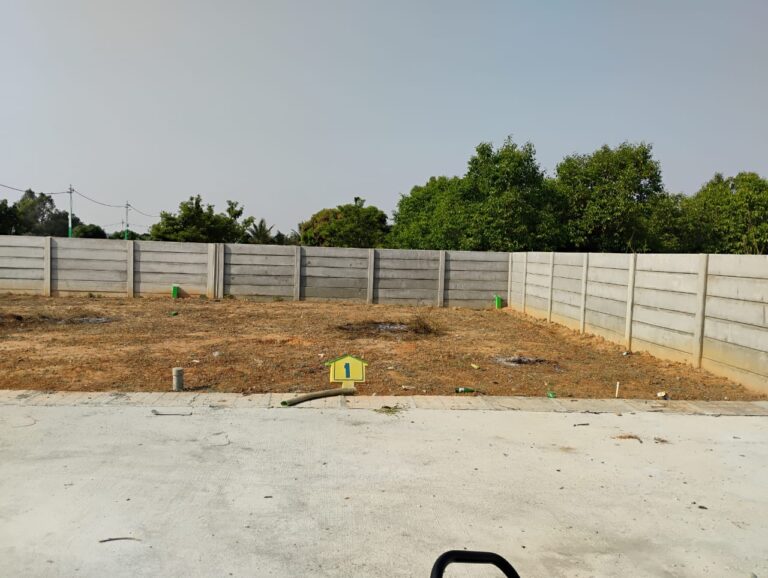 WhatsApp Image 2025-07-09 at 12.29.15 PM (2)