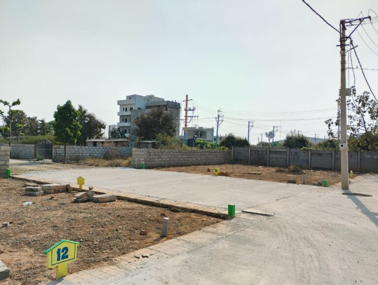 WhatsApp Image 2025-07-09 at 12.29.15 PM