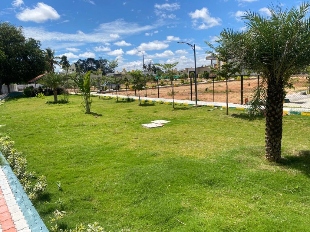 WhatsApp Image 2025-07-09 at 12.38.42 PM (1)