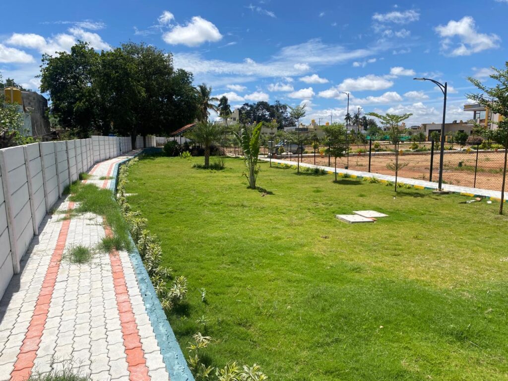 WhatsApp Image 2025-07-09 at 12.38.42 PM (2)