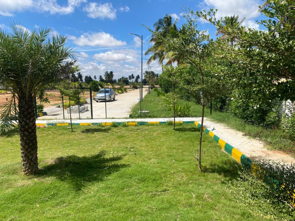 WhatsApp Image 2025-07-09 at 12.38.42 PM (3)