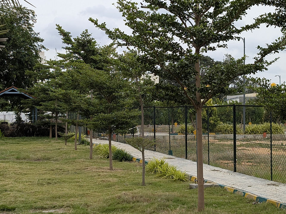 1_0001_WhatsApp Image 2025-07-09 at 12.40.16 PM (1)