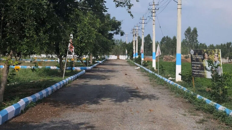 3_0000_WhatsApp Image 2025-07-23 at 12.33.34 PM