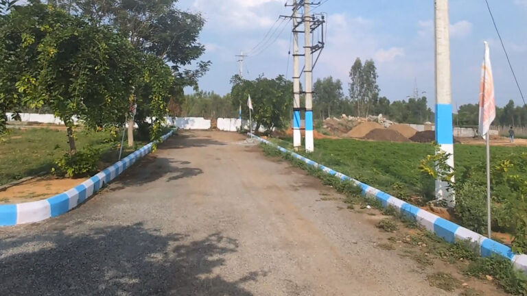 3_0001_WhatsApp Image 2025-07-23 at 12.33.33 PM (1)